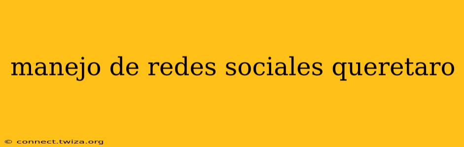 manejo de redes sociales queretaro