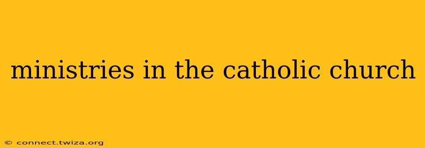 ministries in the catholic church