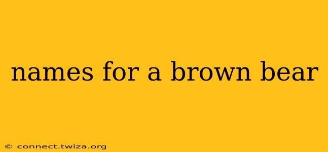 names for a brown bear