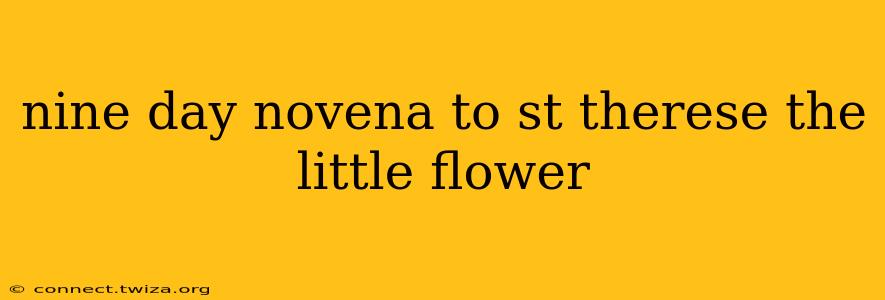 nine day novena to st therese the little flower
