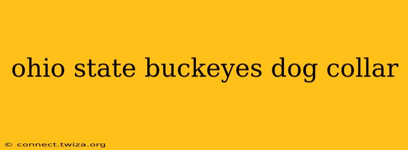 ohio state buckeyes dog collar