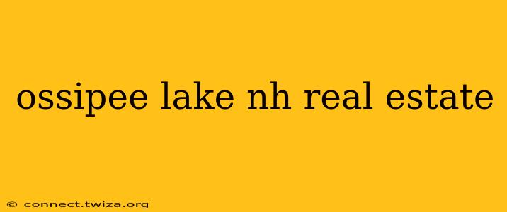 ossipee lake nh real estate
