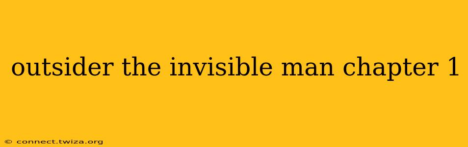 outsider the invisible man chapter 1