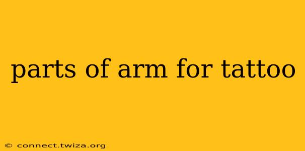 parts of arm for tattoo