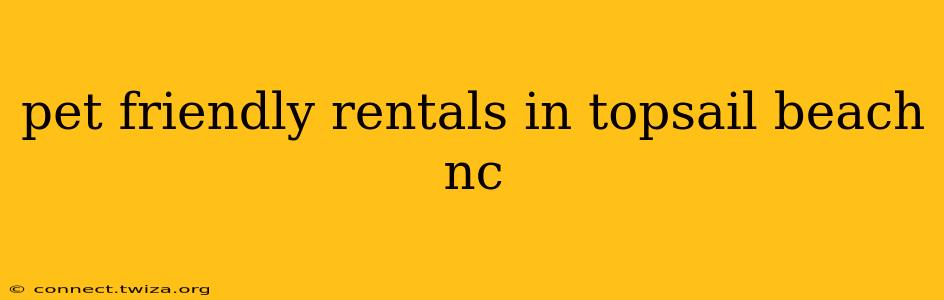pet friendly rentals in topsail beach nc