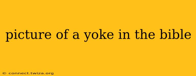 picture of a yoke in the bible
