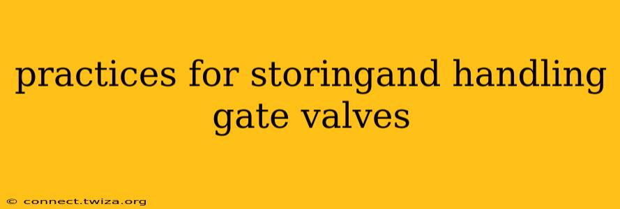 practices for storingand handling gate valves