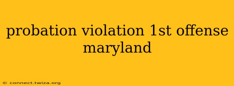 probation violation 1st offense maryland