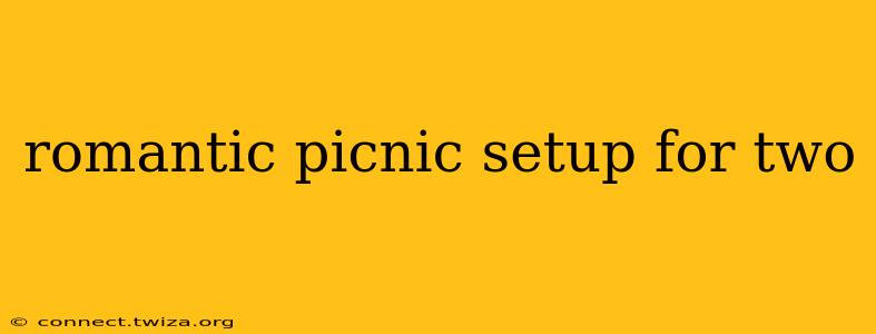 romantic picnic setup for two