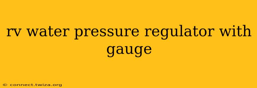 rv water pressure regulator with gauge