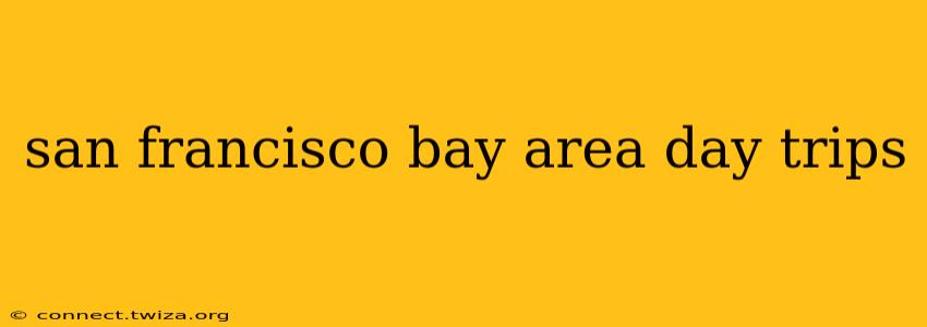 san francisco bay area day trips