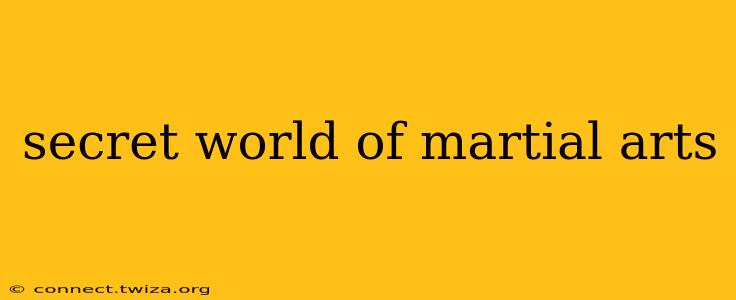 secret world of martial arts
