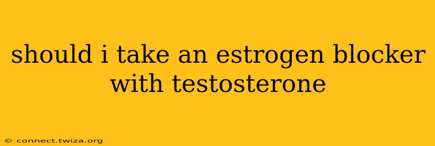 should i take an estrogen blocker with testosterone