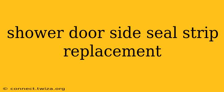 shower door side seal strip replacement