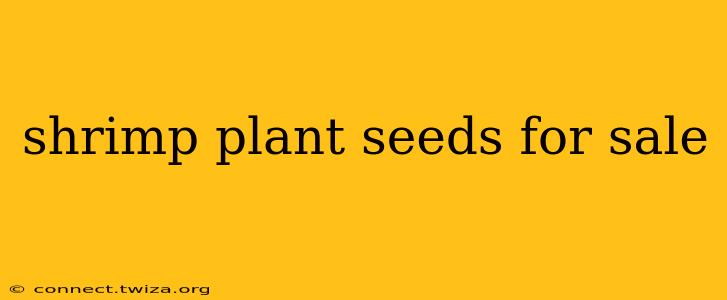 shrimp plant seeds for sale