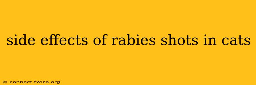 side effects of rabies shots in cats