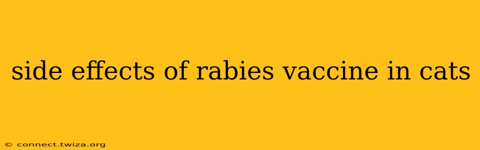 side effects of rabies vaccine in cats