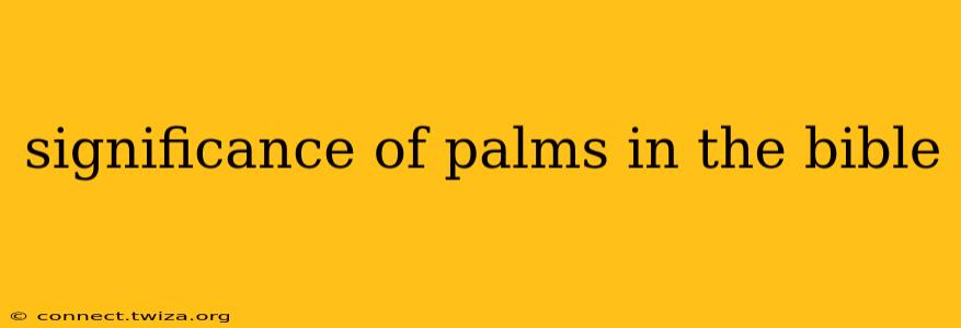 significance of palms in the bible