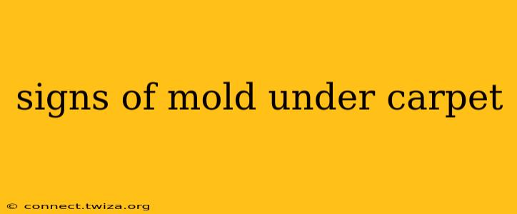 signs of mold under carpet