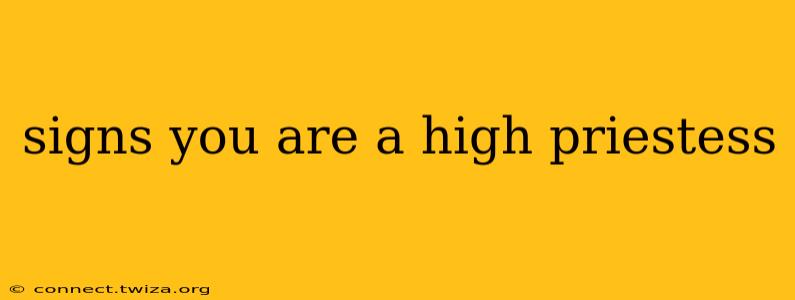 signs you are a high priestess