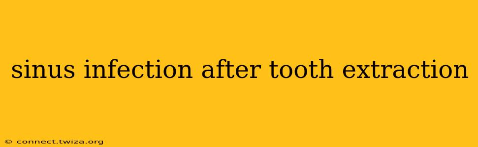 sinus infection after tooth extraction
