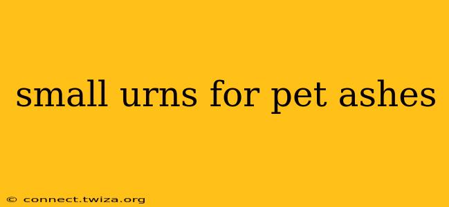 small urns for pet ashes