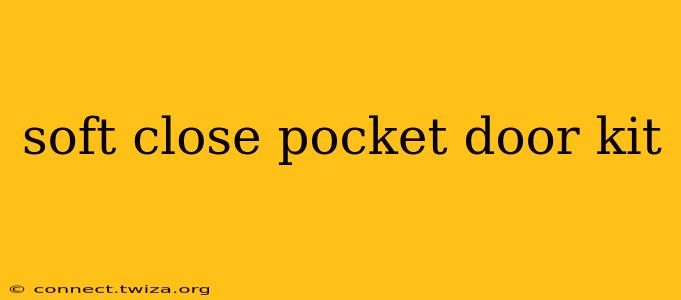 soft close pocket door kit