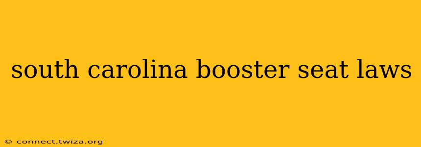 south carolina booster seat laws
