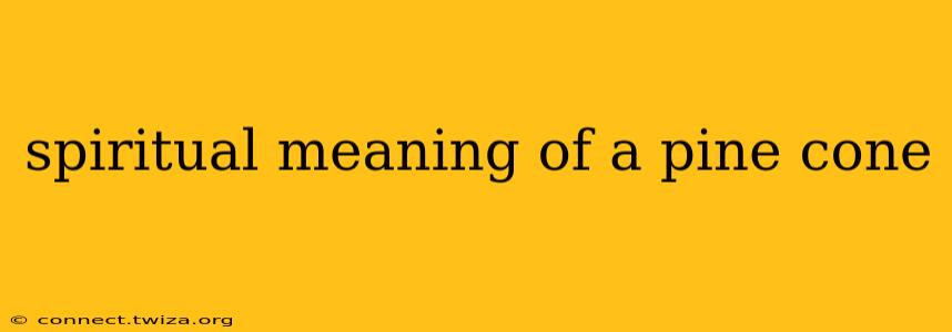 spiritual meaning of a pine cone