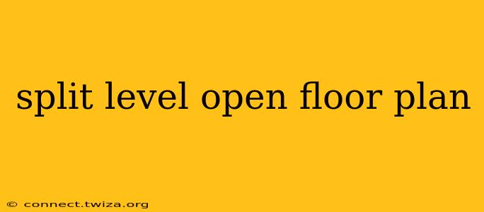 split level open floor plan