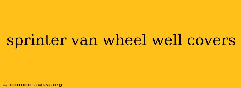 sprinter van wheel well covers