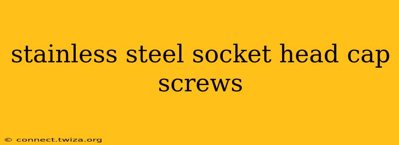 stainless steel socket head cap screws