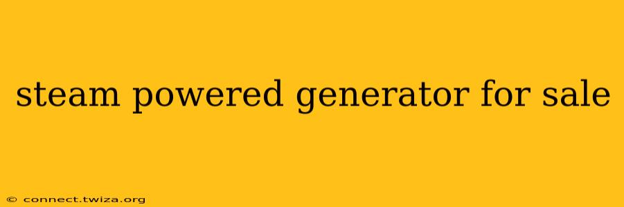 steam powered generator for sale