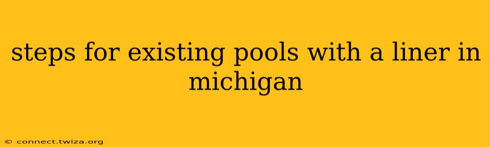steps for existing pools with a liner in michigan