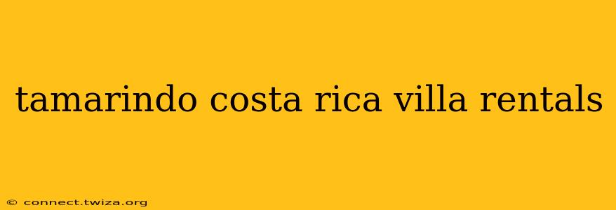 tamarindo costa rica villa rentals