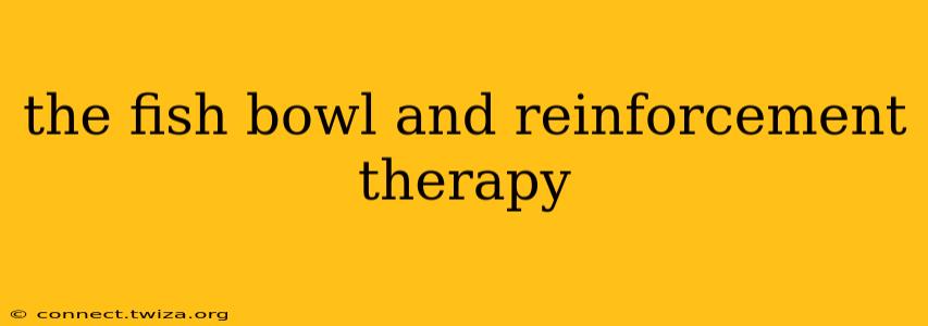the fish bowl and reinforcement therapy