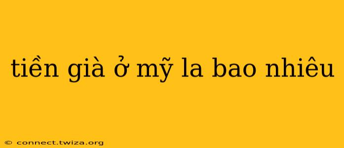 tiền già ở mỹ la bao nhiêu