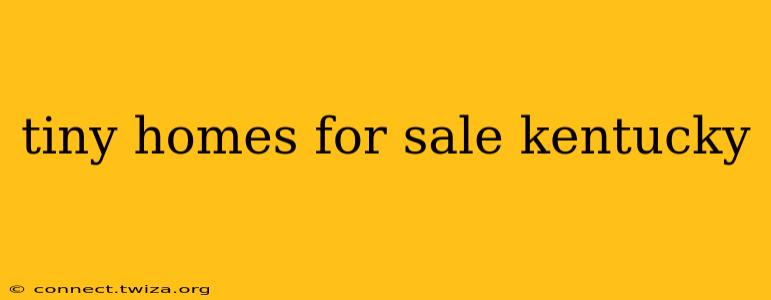tiny homes for sale kentucky