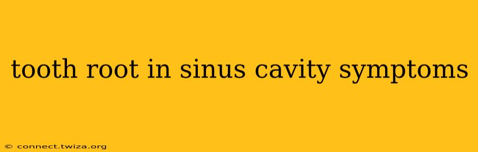 tooth root in sinus cavity symptoms