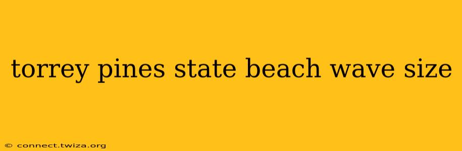torrey pines state beach wave size
