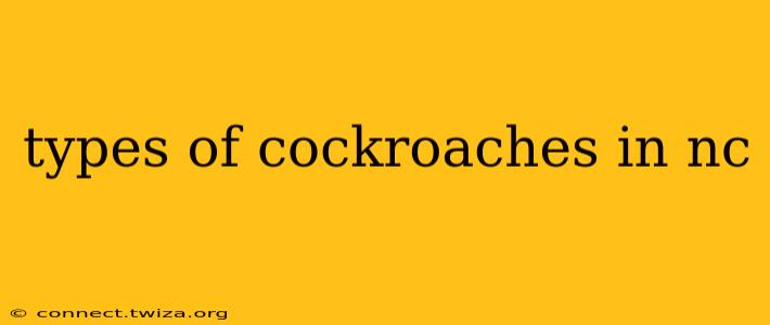 types of cockroaches in nc