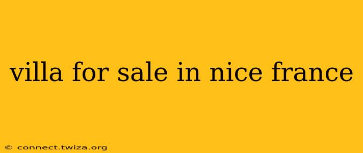 villa for sale in nice france