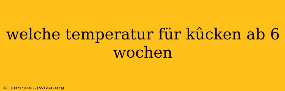 welche temperatur für kûcken ab 6 wochen