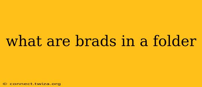 what are brads in a folder