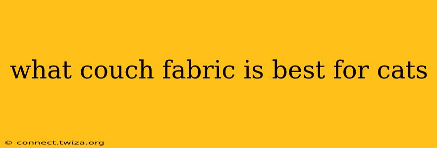 what couch fabric is best for cats