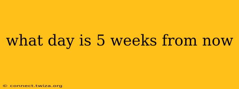 what day is 5 weeks from now