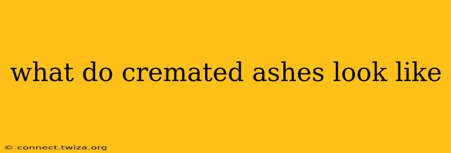 what do cremated ashes look like