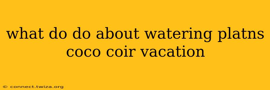 what do do about watering platns coco coir vacation