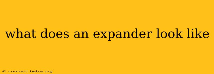 what does an expander look like