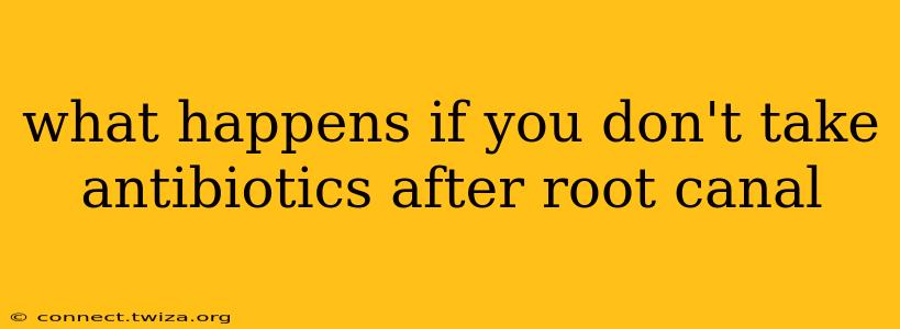 what happens if you don't take antibiotics after root canal